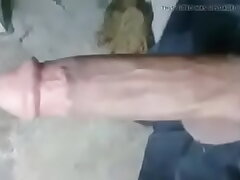 Asian big cock!! watch asian gay carnal knowledge videos