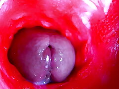 Extreme close-up ASMR head medial wet pussy gay sex asian videos