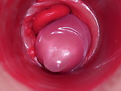 Inside a Camgirl Cervix POV Camera in Vagina with chunky dick toy asian gay sex videos superannuated man